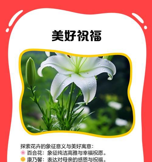 节节高花的意义是什么？节节高花在花语中代表什么？