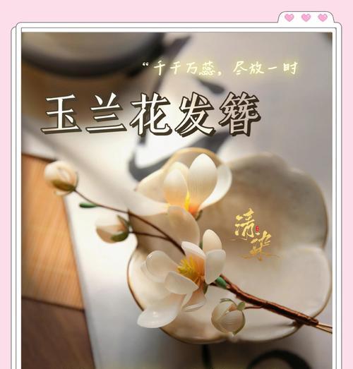 哪些花代表着友情和祝福？