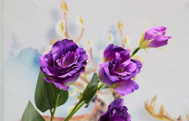 紫色花语可以定制吗？如何根据个人喜好定制花语？
