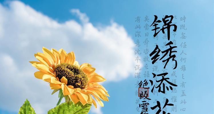 粤语中春节花的寓意是什么？