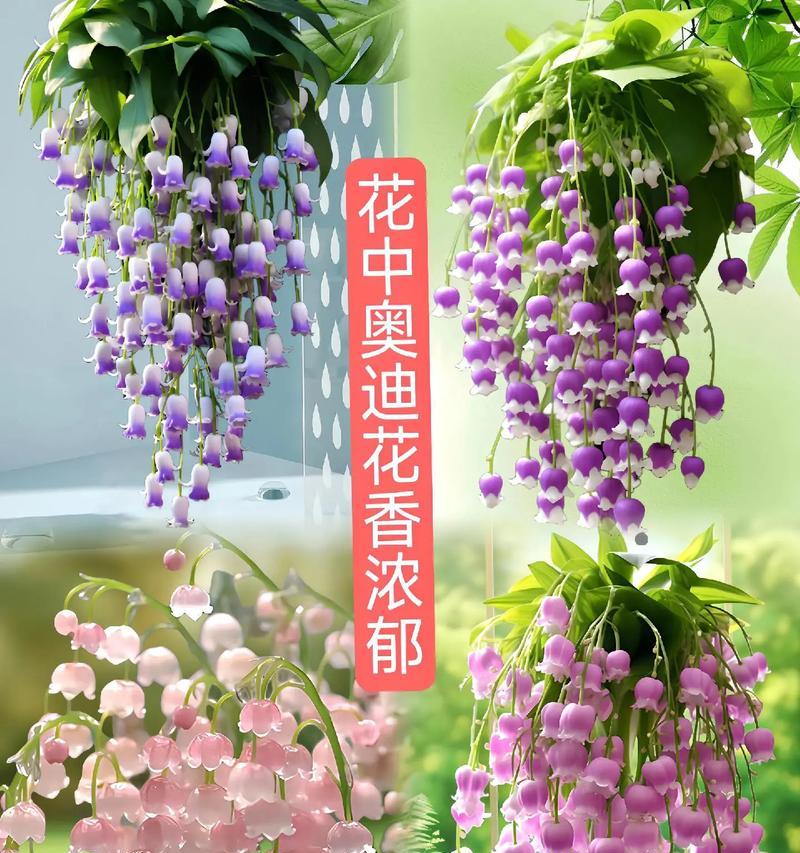 什么花象征美好幸福？如何用花表达幸福？