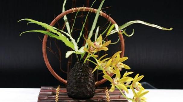哪些花品种寓意对老人好？如何选择？