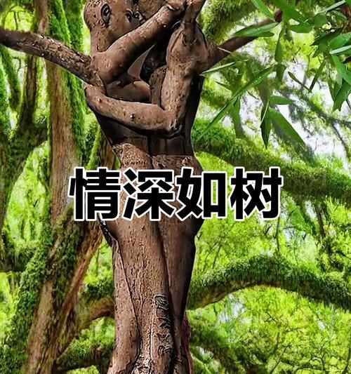 哪些树和花象征爱情永恒？它们的寓意是什么？