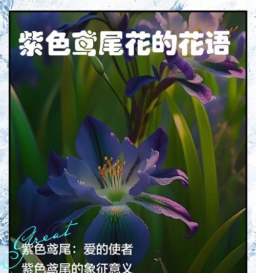 哪些花象征着健康？健康花的花语有哪些？