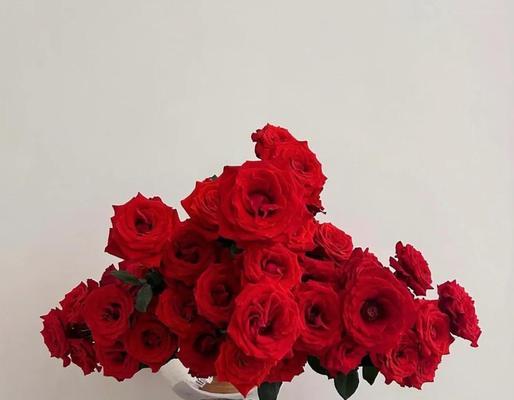 开红色的花通常象征着什么？