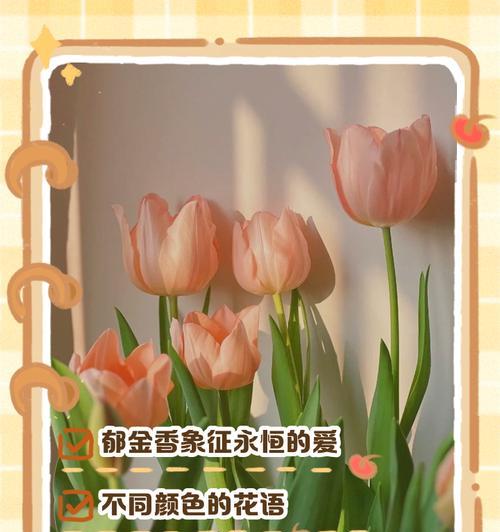 花的颜色如何影响花语和象征意义？