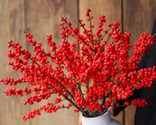 年宵花有哪些种类及其颜色寓意？