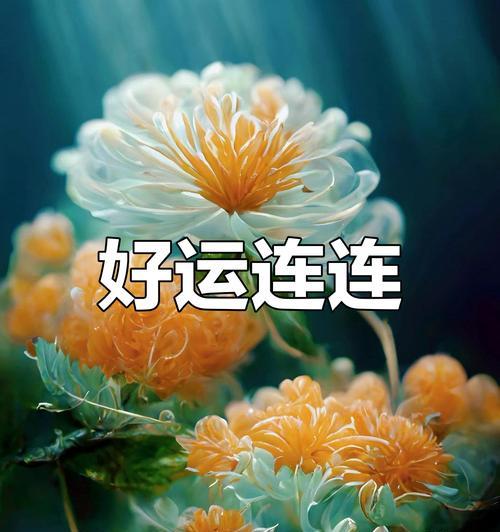 哪种花象征给朋友带来好运？好运象征的花有哪些？