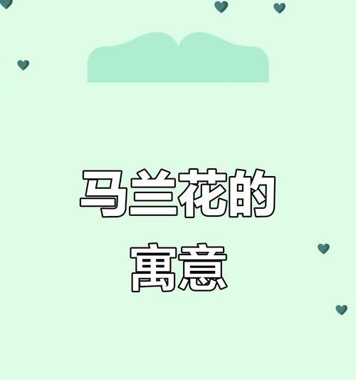 哪种花象征稳定的爱情？