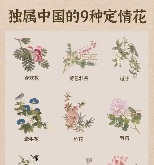 哪些花象征最美丽的爱情？如何用花表达真挚的爱？