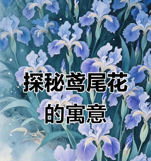 哪些象征爱情的花难以养护？如何照顾这些娇贵的花卉？