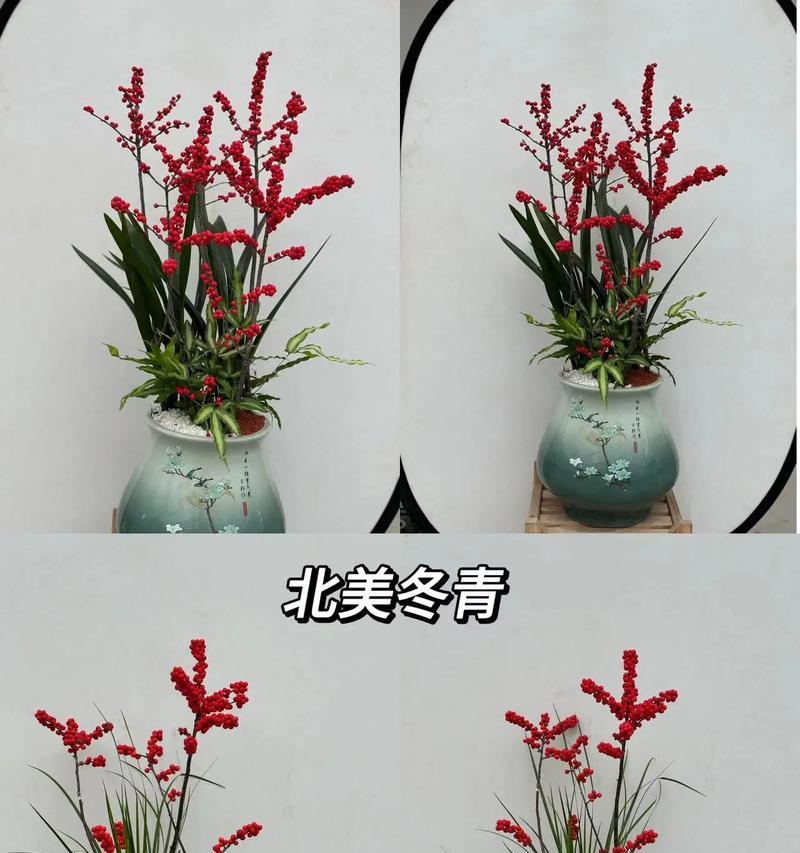 哪些花寓意平安吉祥？