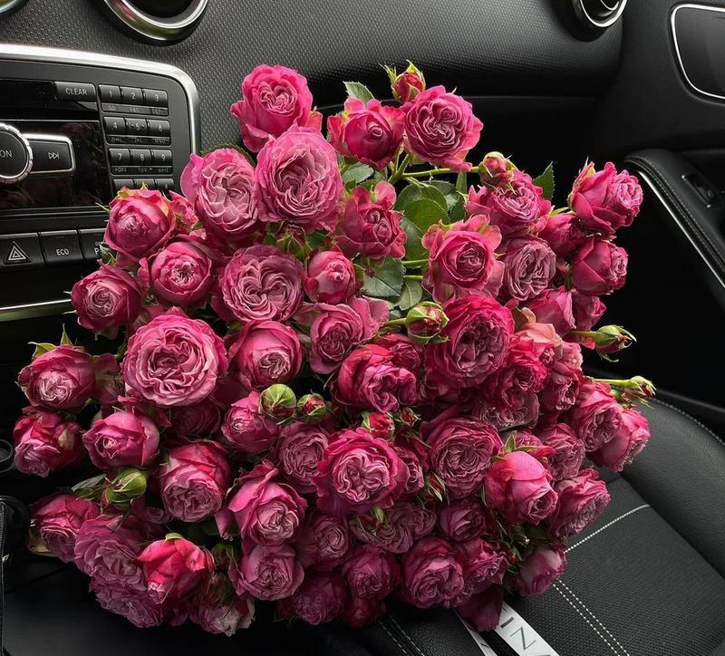 乌梅子酱色花语是什么？这种颜色的花有何特别含义？