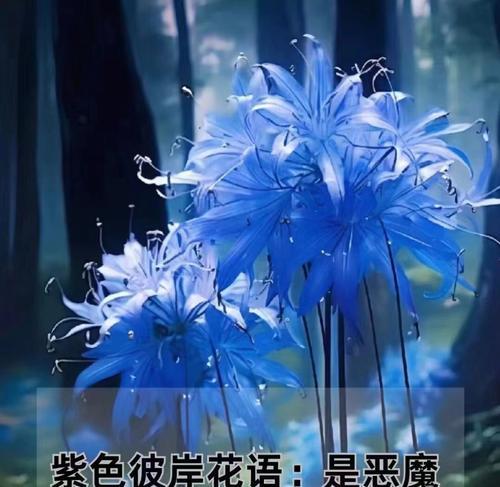 不同颜色彼岸花各自代表了什么意义？