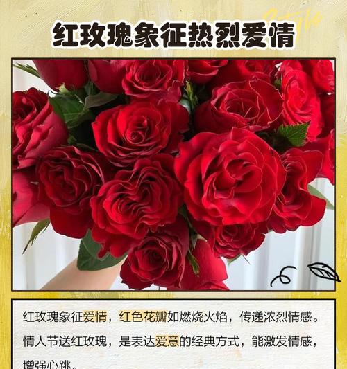 花的颜色与情感表达有何关联？每种颜色的花都象征着什么？