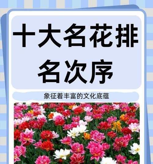 花的颜色与情感表达有何关联？每种颜色的花都象征着什么？