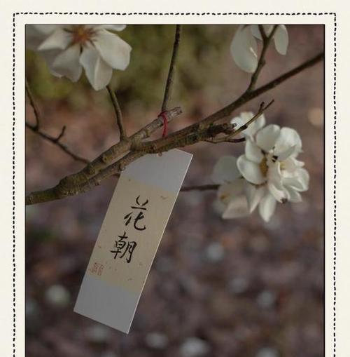 花朝节送花的含义是什么？花朝节送花代表什么？