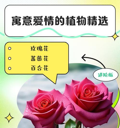 哪种花象征死去的爱情？它的花语是什么？