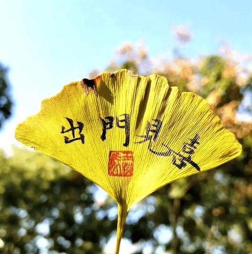 银杏花的花语是什么？银杏代表长寿吗？