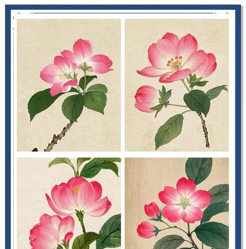 寓意为平安健康的花有哪些？这些花的寓意是什么？