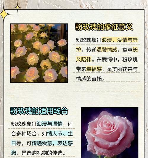 送人浪漫玫瑰花代表什么？它的花语有哪些？