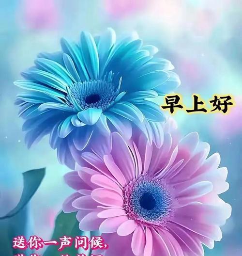 花的祝福词有哪些？分别代表什么意思？