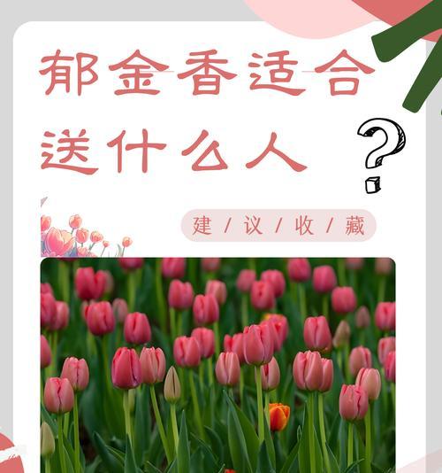 送爷爷奶奶手捧花有什么寓意？选择什么样的花最合适？