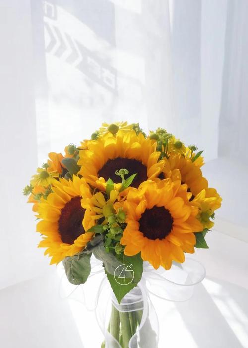 闪嫂手捧花代表什么？手捧花的寓意是什么？