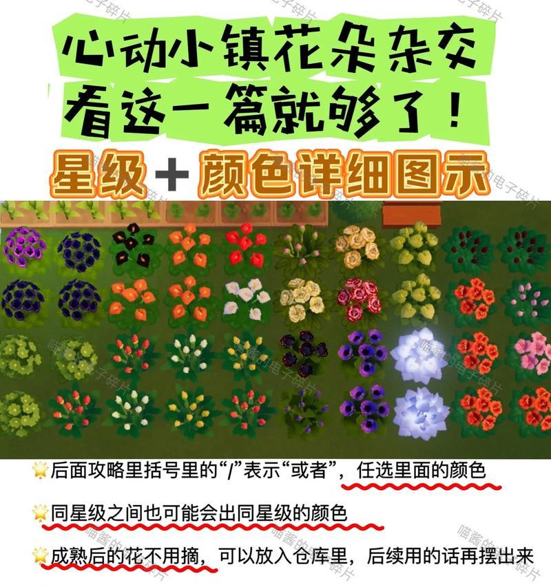 着色花语是什么？如何理解各种颜色花朵的含义？