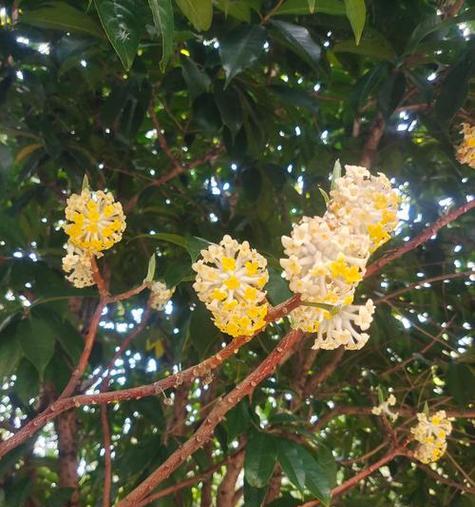 春天种的花象征爱情吗？哪些花最能代表爱情？