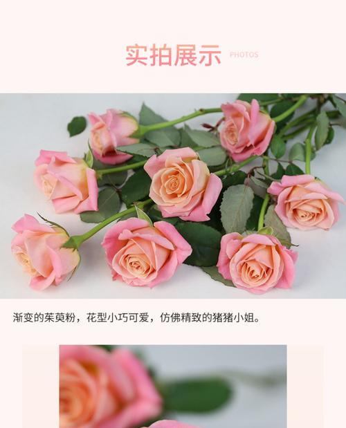 花渐变色的寓意是什么？渐变色花的象征意义有哪些？