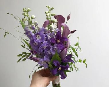 帝王花手捧花代表什么？花语有何深意？