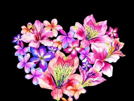 研究花的背景和意义是什么？