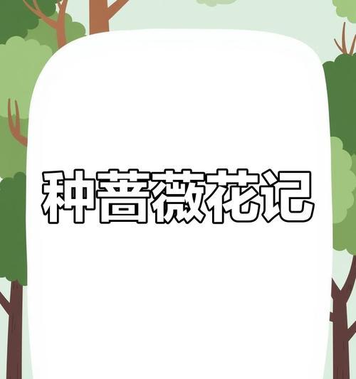 哪种花寓意爱情重逢？它们的含义是什么？