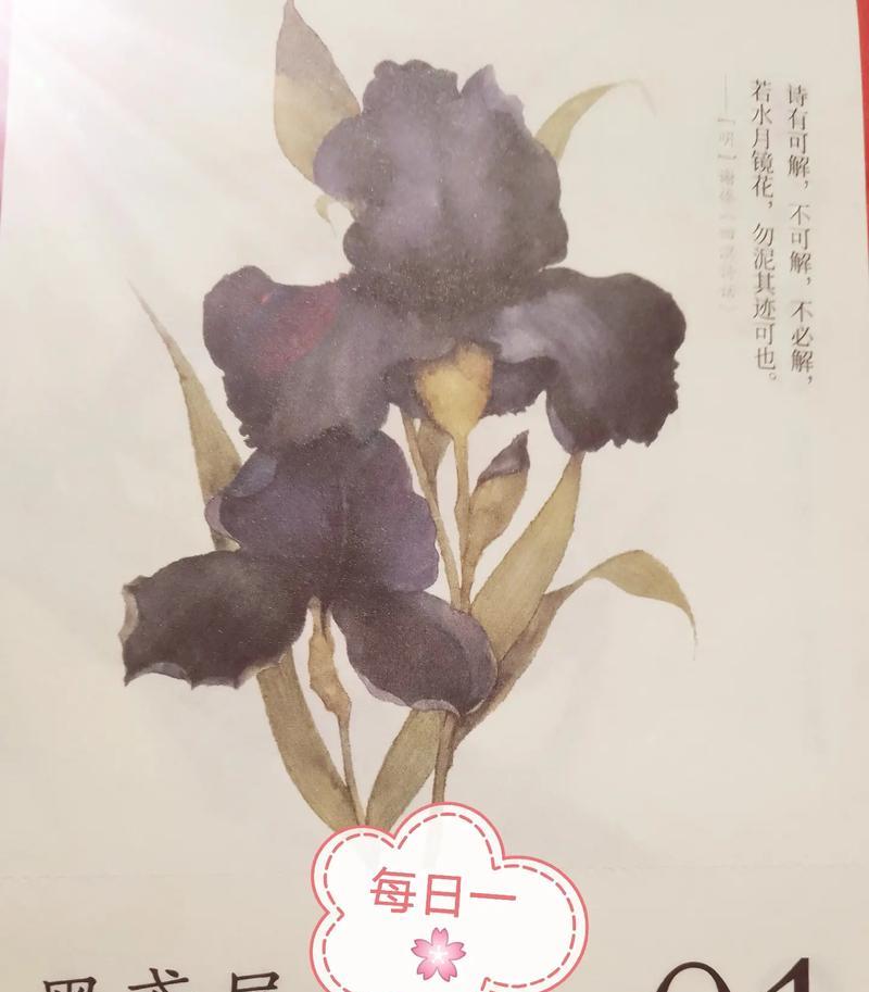 毛巾上的花语代表什么？浪漫花语毛巾的含义是什么？