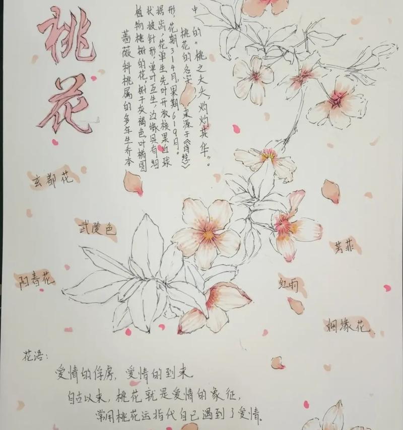 毛巾上的花语代表什么？浪漫花语毛巾的含义是什么？