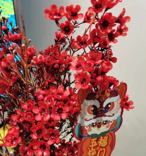 春节期间送什么花寓意好？