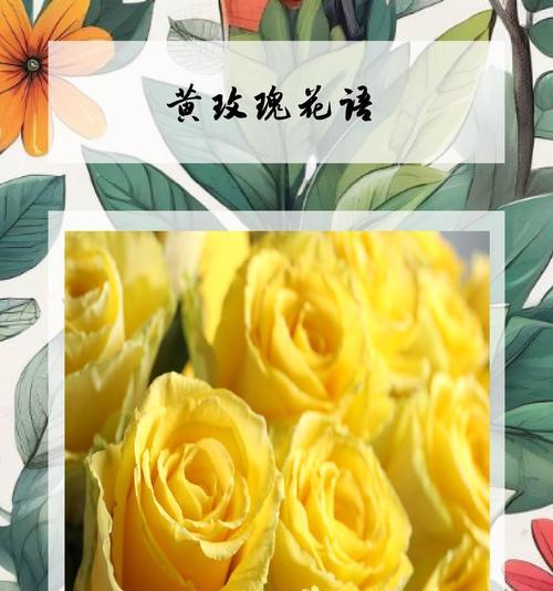 花语浪漫祝福怎样表达？
