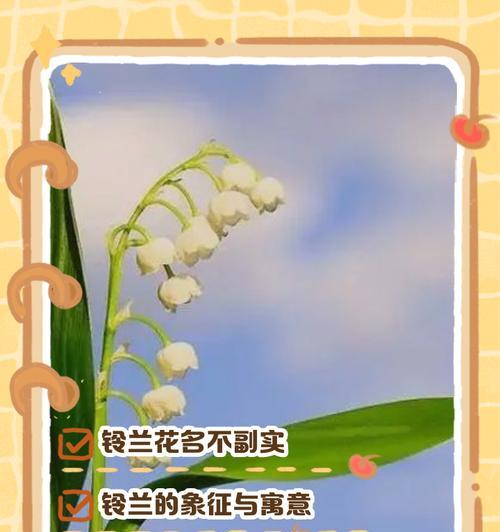 蓝色碎钻代表的花是什么？寓意有何特别之处？