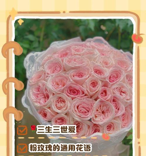 哪些花最具有浪漫寓意？它们的花语是什么？