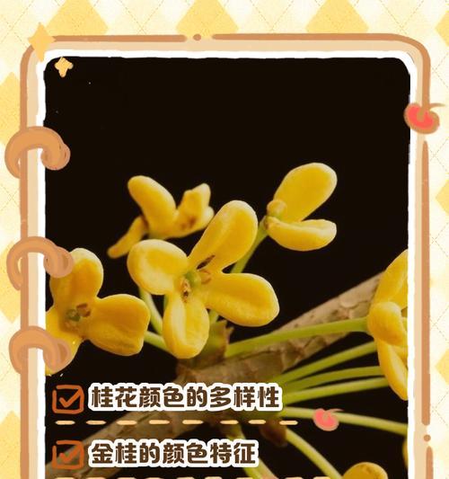 三种颜色花分别代表什么？送三种颜色花的寓意是什么？