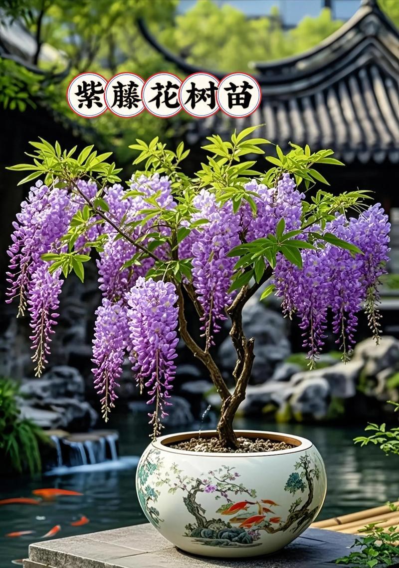 哪种花代表浪漫？它的含义和象征是什么？
