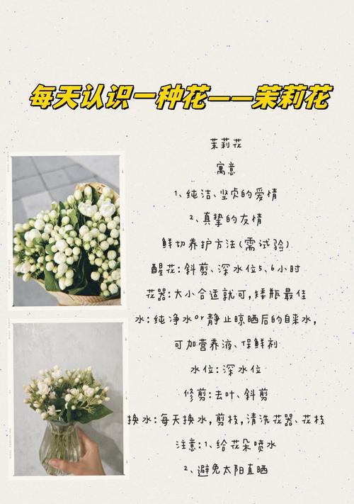 哪些诗句用花象征友情和爱情？