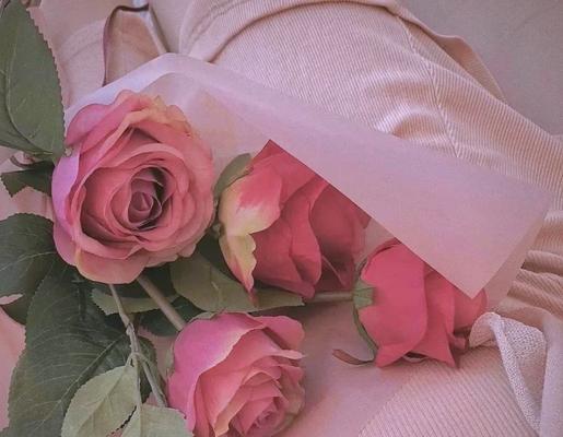 什么颜色的花象征友情？它们的寓意是什么？