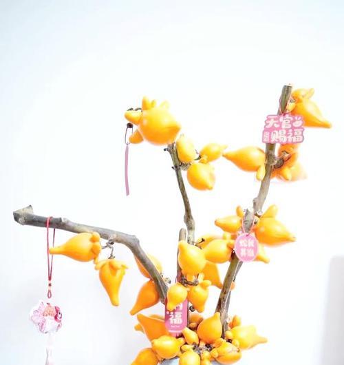 过年时哪种花寓意快乐？