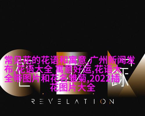 情人节后花语有哪些变化？它们代表了什么？