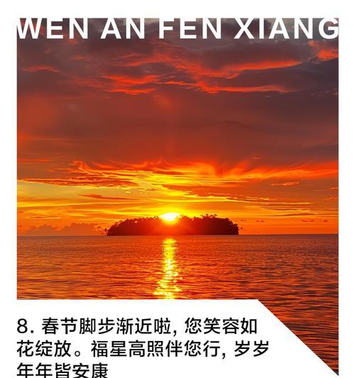 春节送给老人的花语是什么？