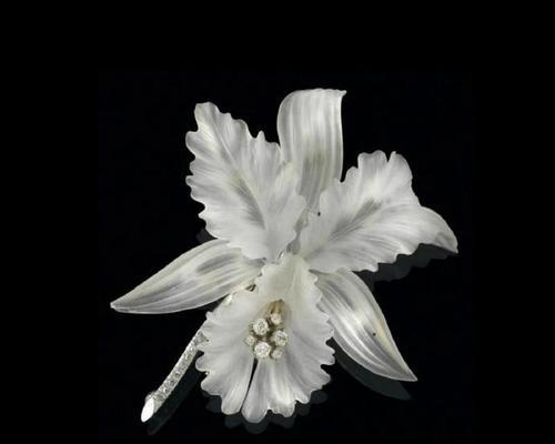 无色透明的花寓意是什么？