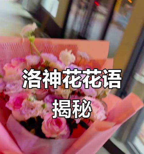 洛神花代表的爱情花语是什么？