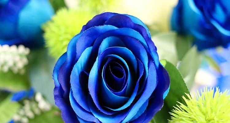 蓝色西林草的花语是什么？它象征着什么？
